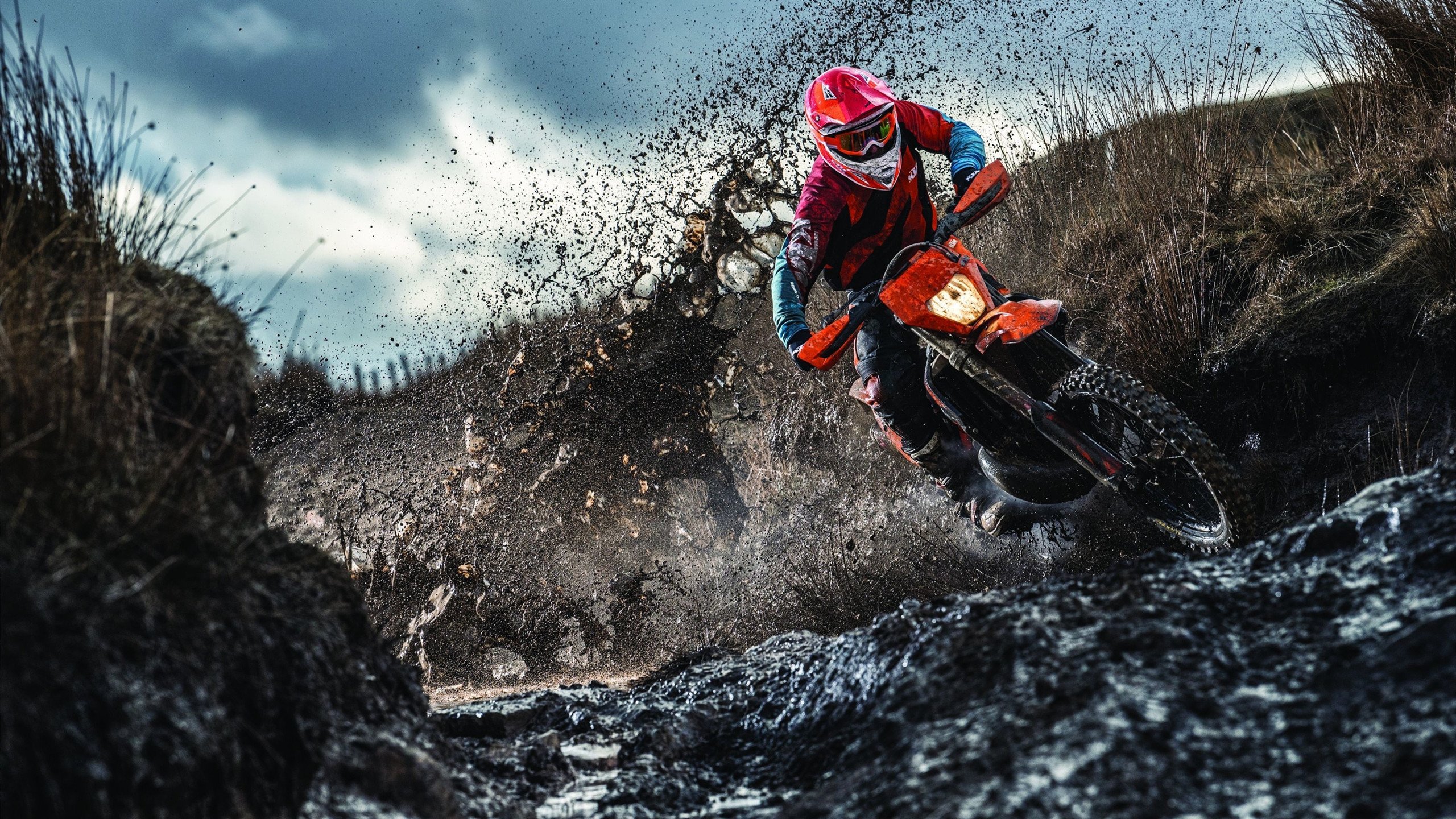 “未来导师”青少年篮球培训师专项研修在上海成功举行，提升教练专业素养